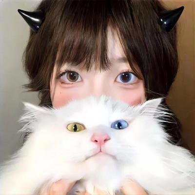 全职高手第二季